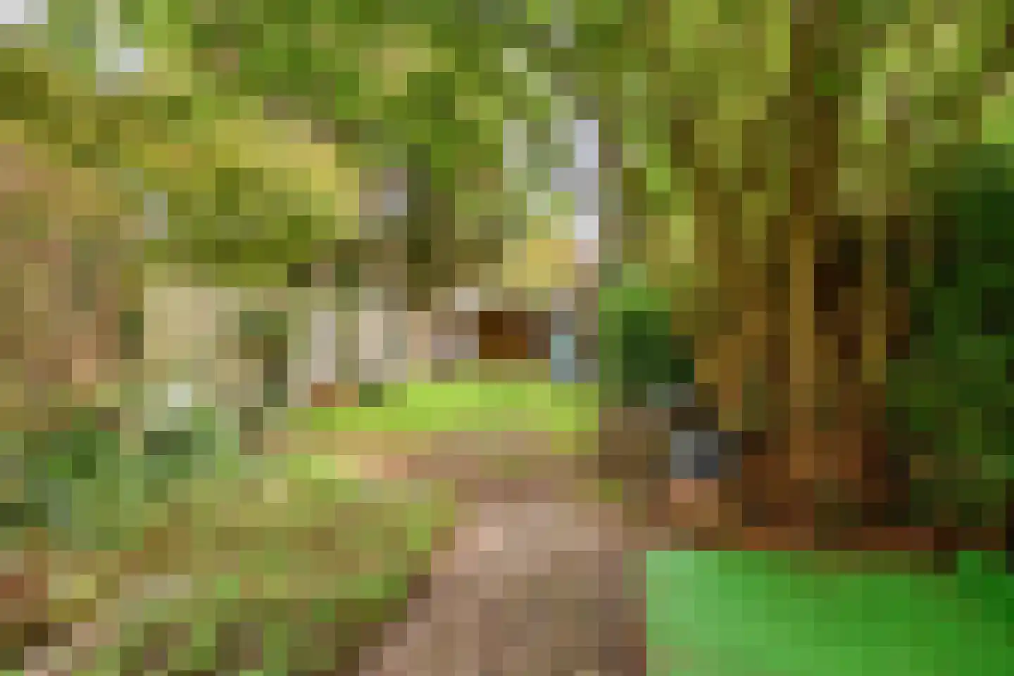 Heiweg 179 Nijmegen thumbnail 4