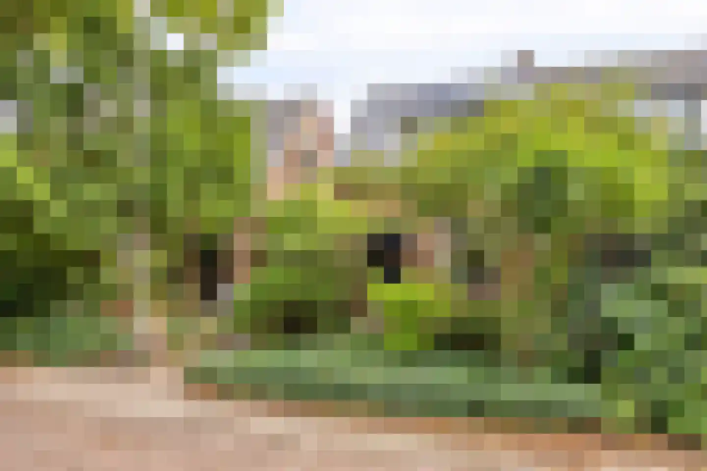 Heiweg 179 Nijmegen thumbnail 43
