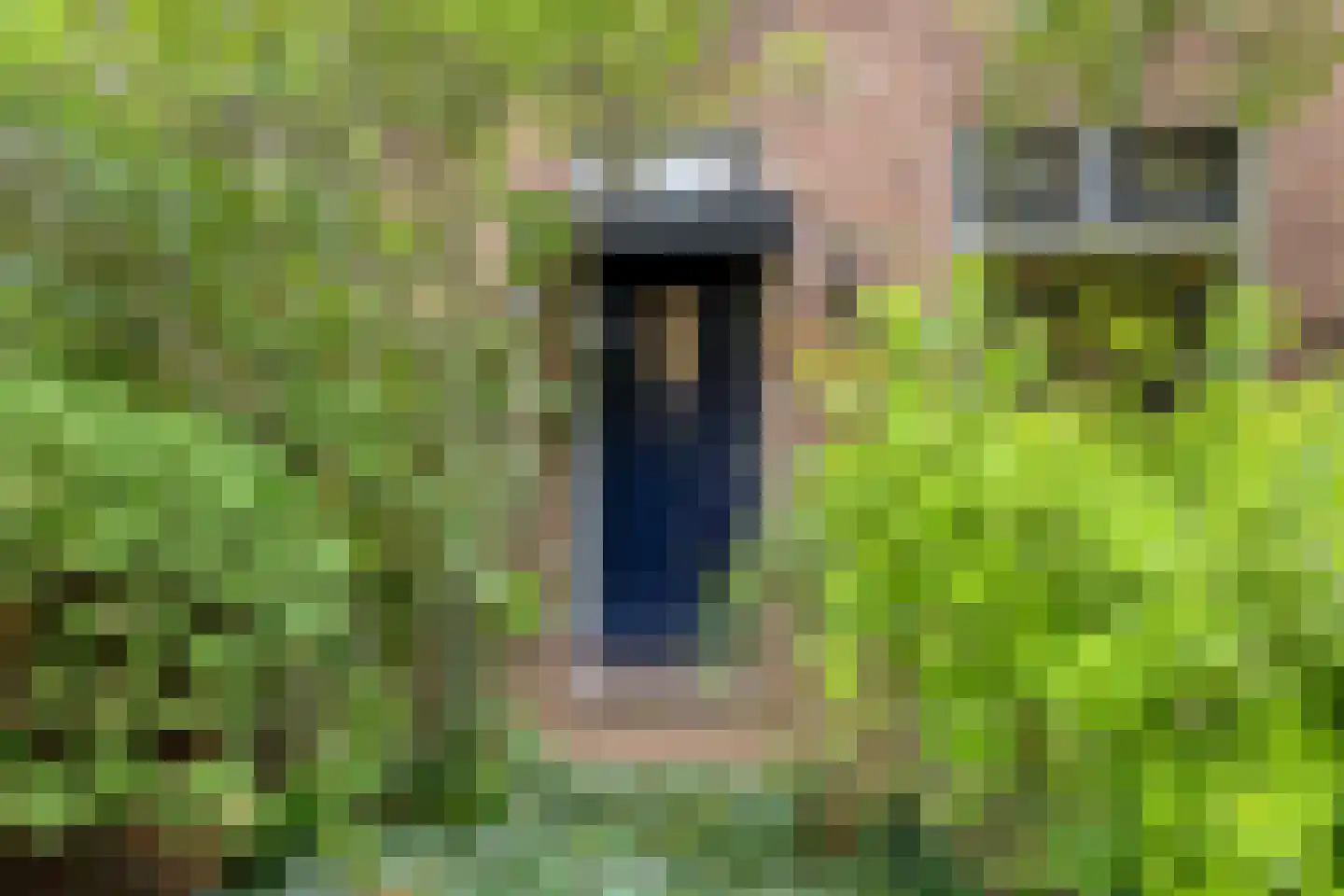 Heiweg 179 Nijmegen thumbnail 6