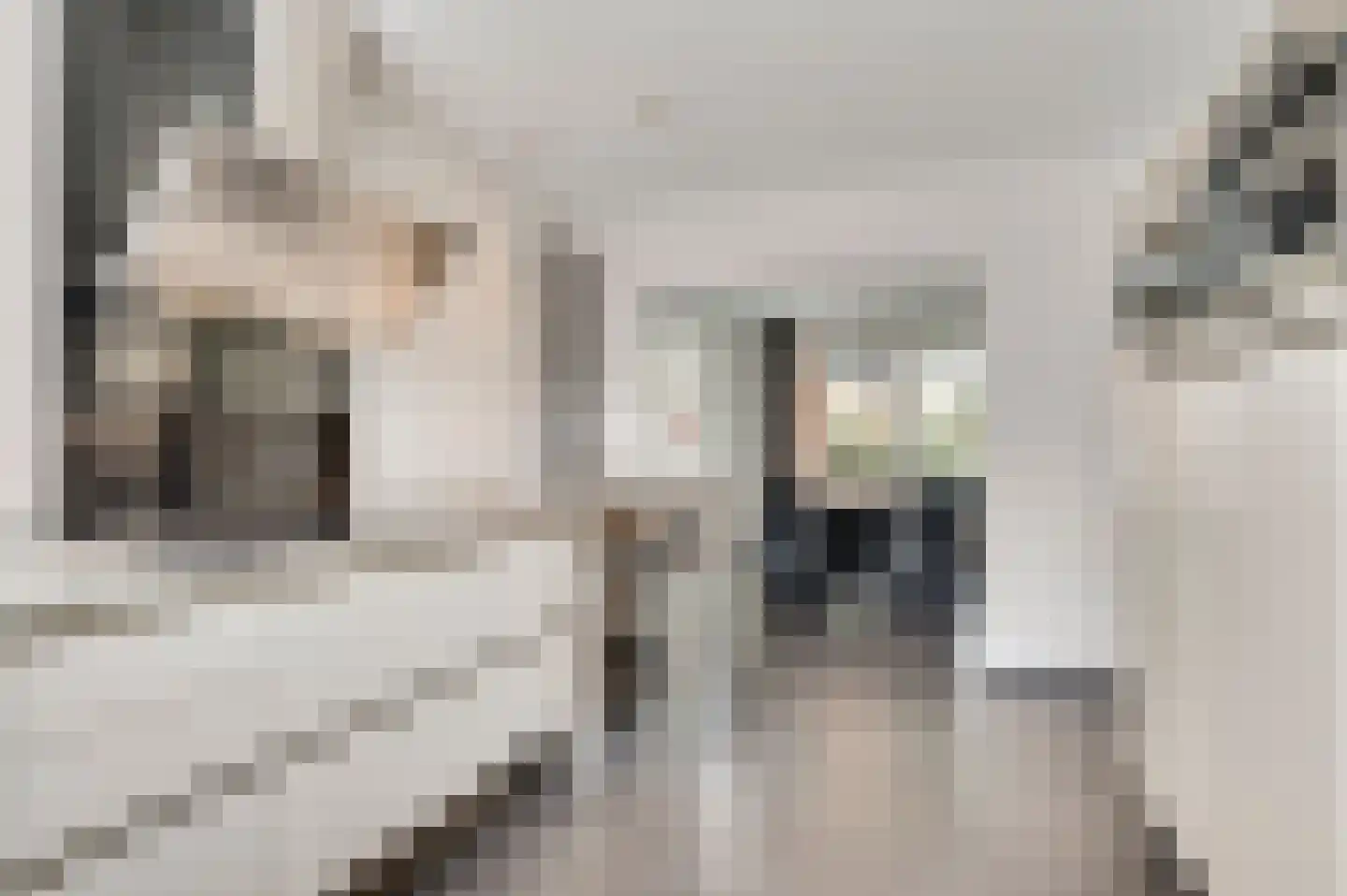 Heiweg 18 Berg en Terblijt thumbnail 10