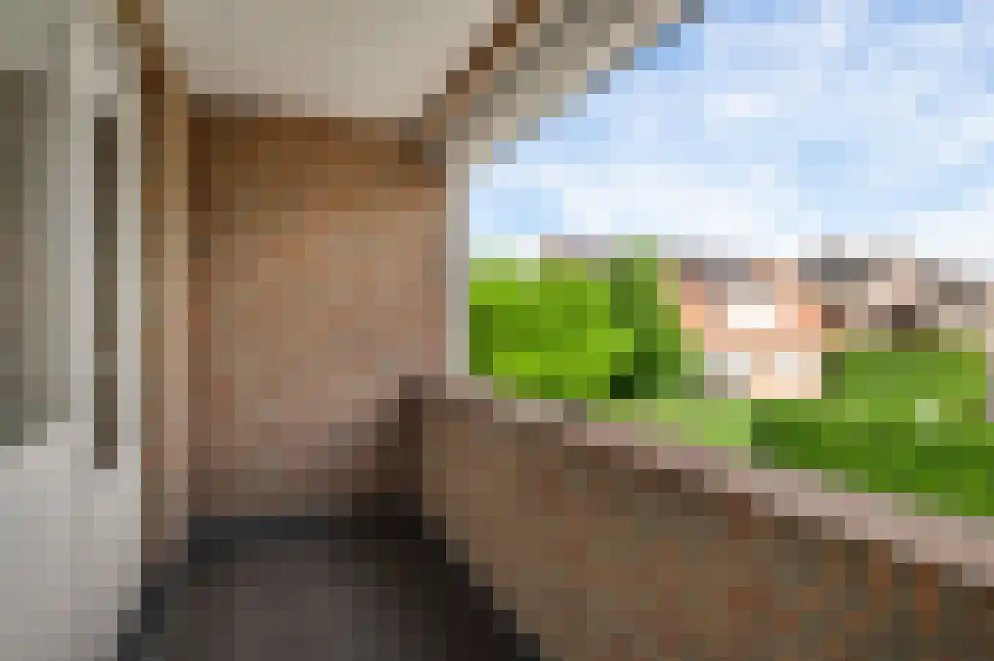 Heiweg 18 Berg en Terblijt thumbnail 21