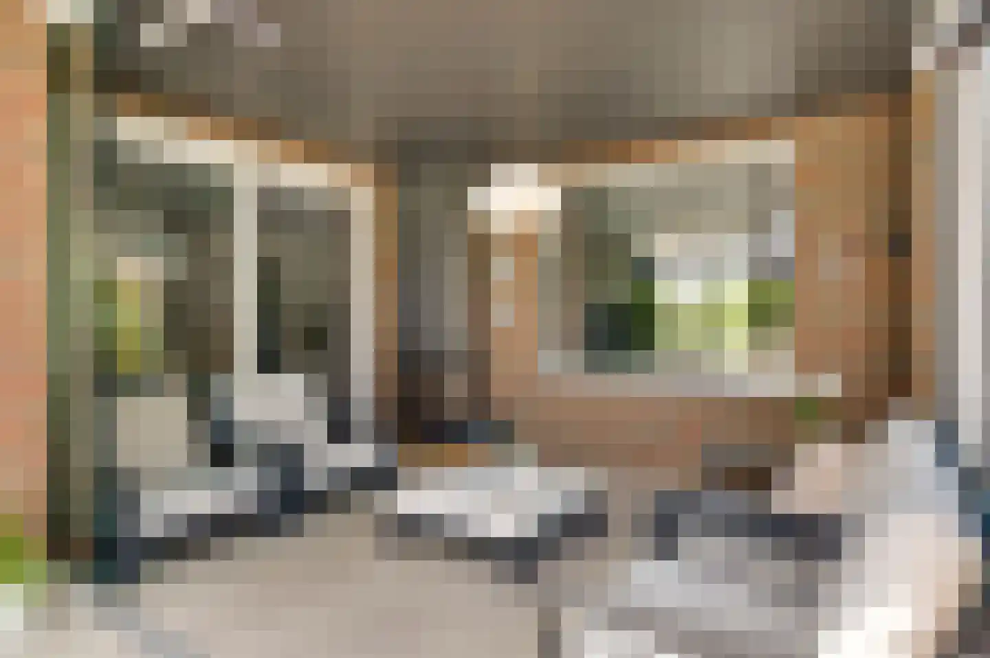 Heiweg 18 Berg en Terblijt thumbnail 22