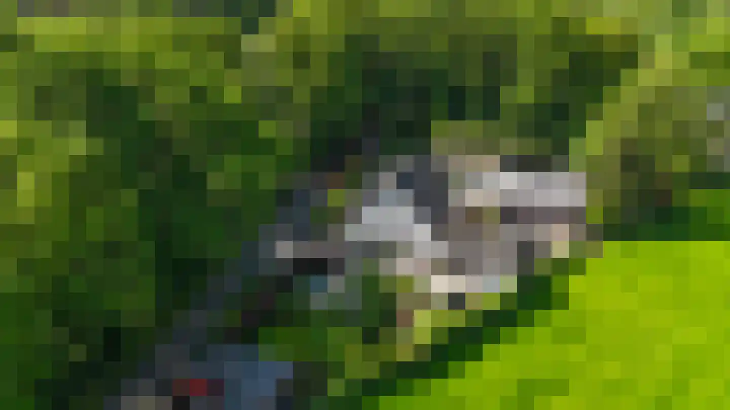 Heiweg 2 in Herpen