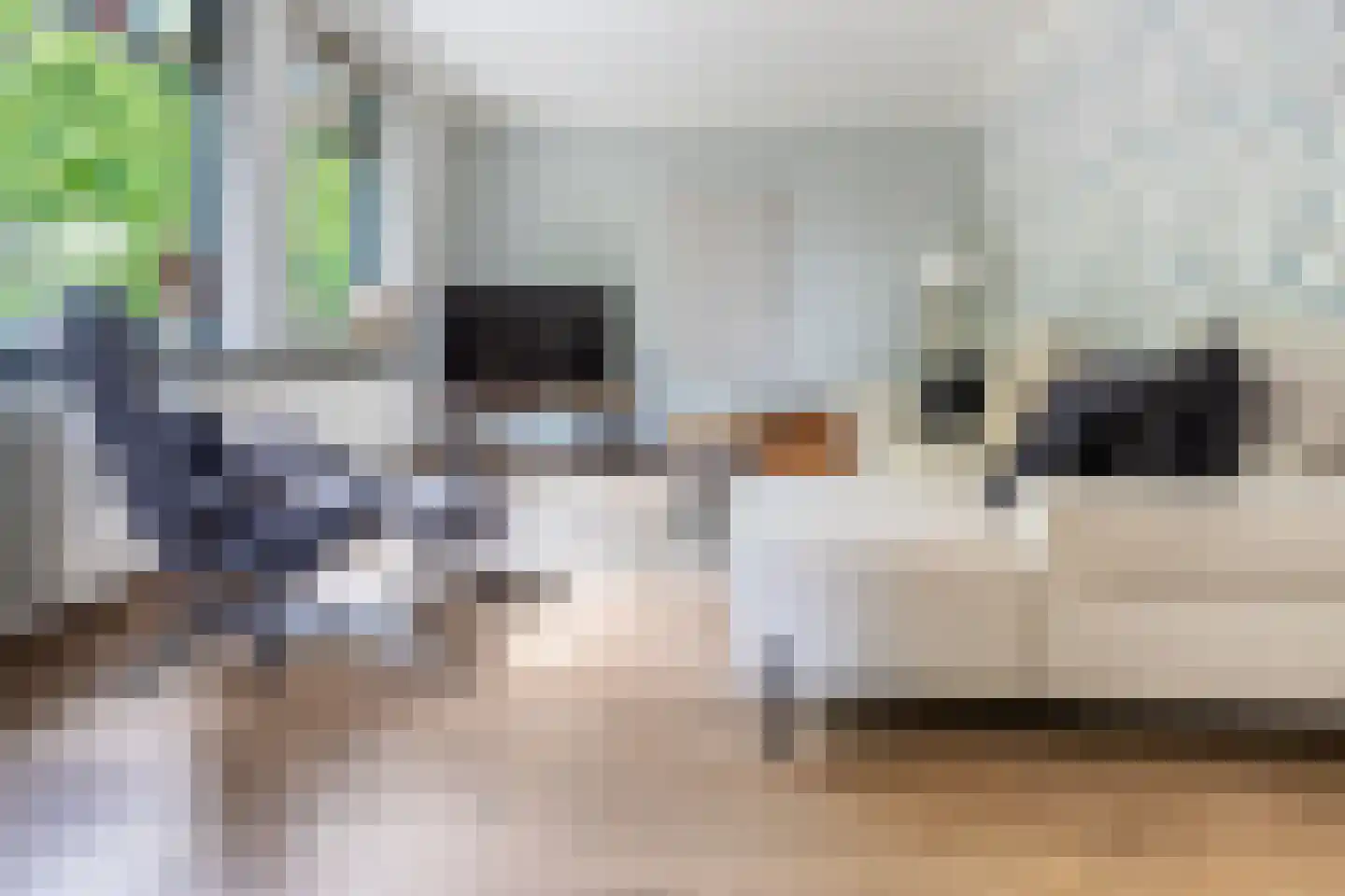 Heiweg 2 Herpen thumbnail 11