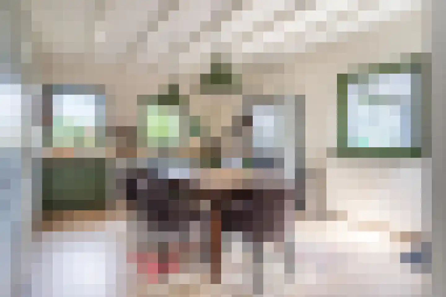 Heiweg 2 Herpen thumbnail 17
