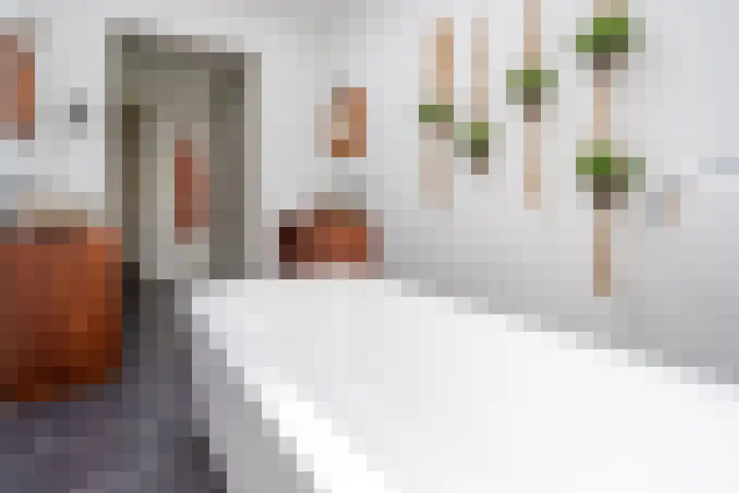 Heiweg 2 Herpen thumbnail 22