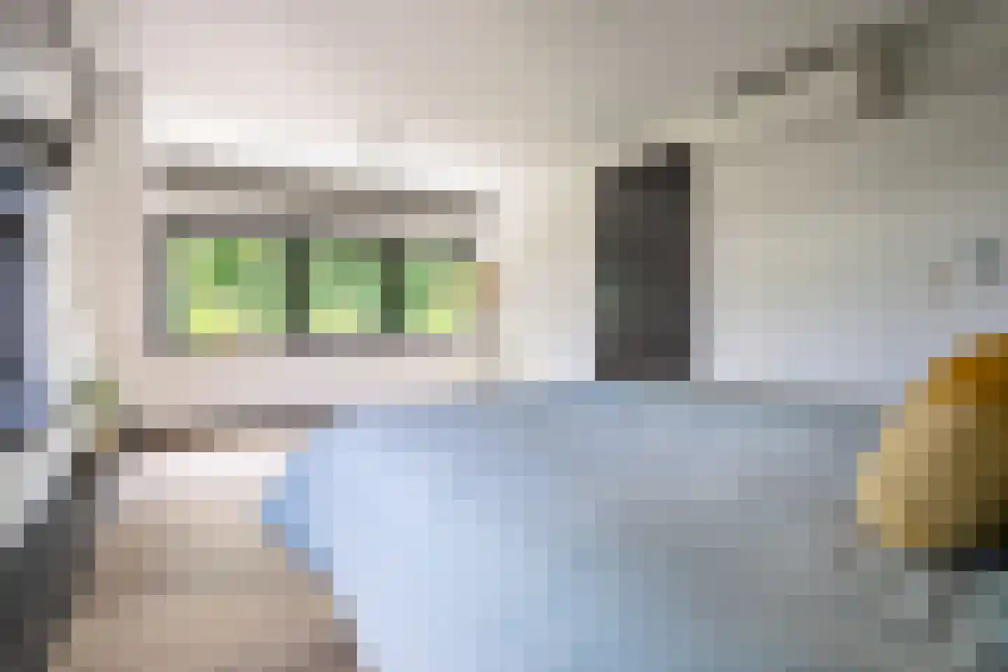 Heiweg 2 Herpen thumbnail 25