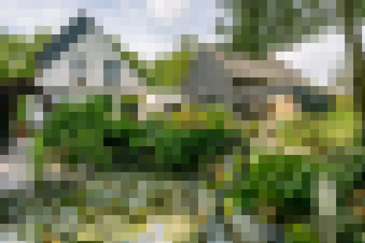 Heiweg 2 Herpen thumbnail 34