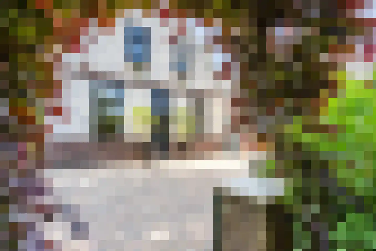 Heiweg 2 Herpen thumbnail 35