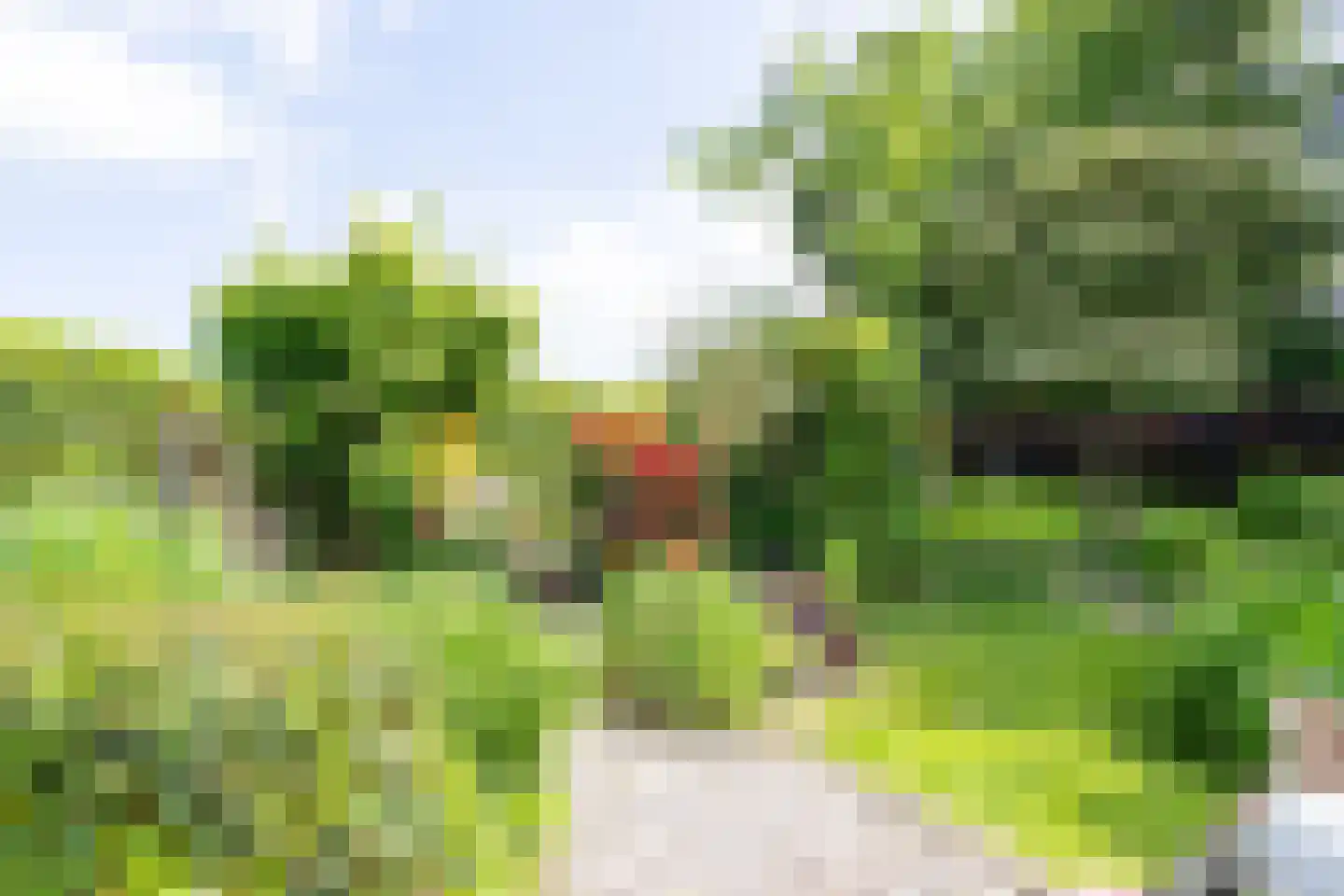 Heiweg 2 Herpen thumbnail 36