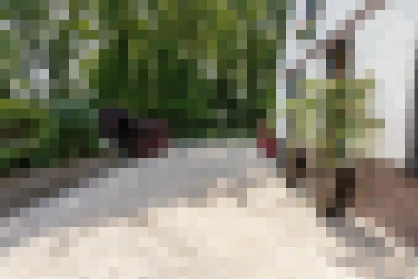 Heiweg 2 Herpen thumbnail 6