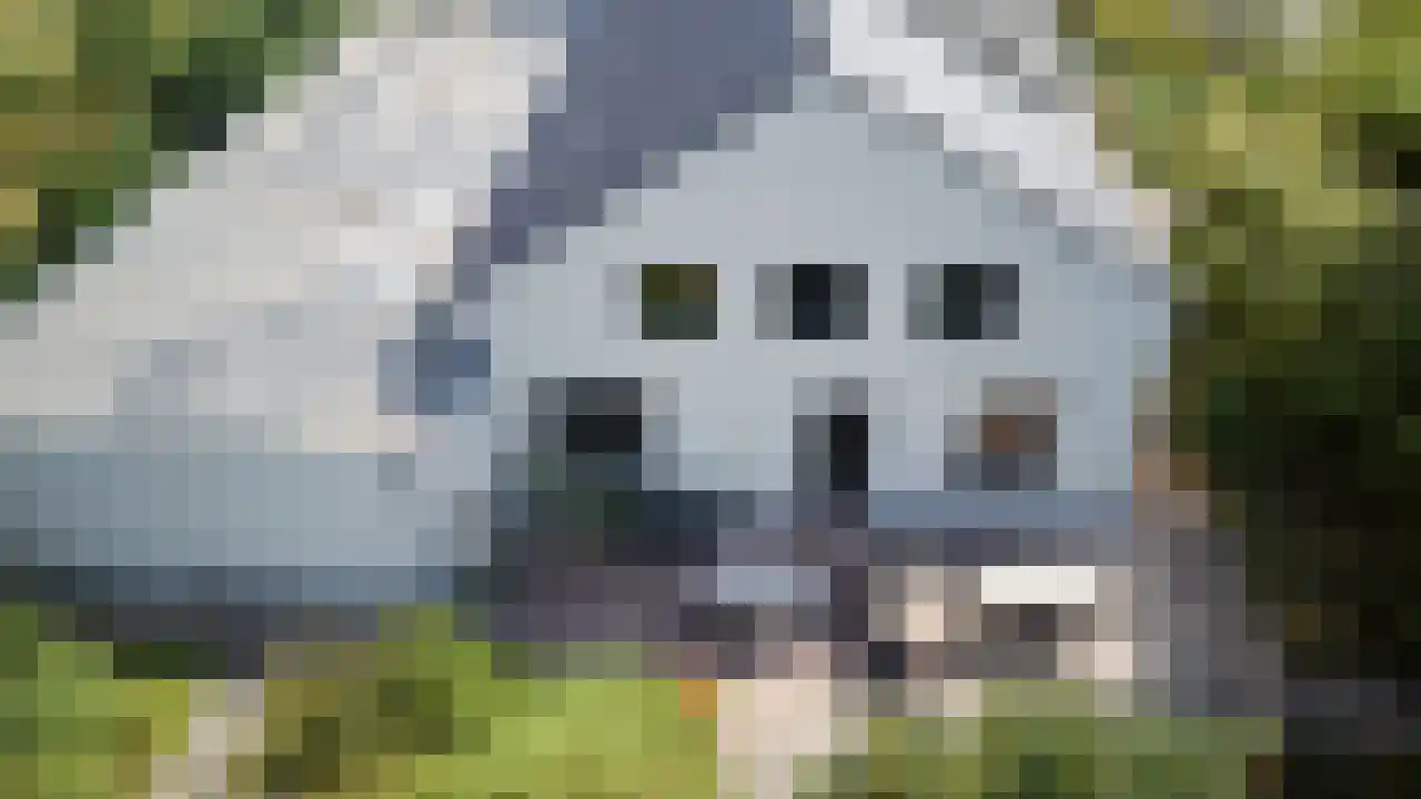 Heiweg 2 Vortum-Mullem thumbnail 66