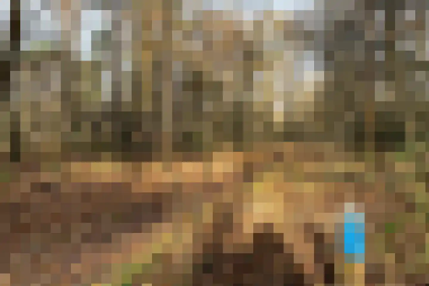 Heiweg 20 Vught thumbnail 19