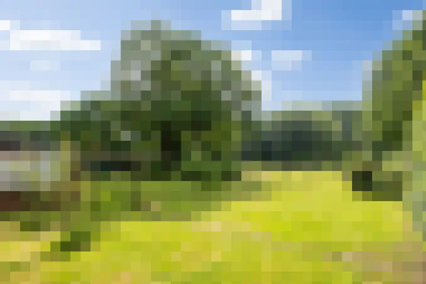 Heiweg 20 Vught thumbnail 35