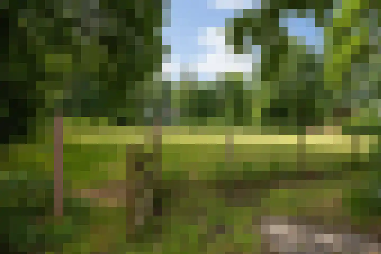 Heiweg 20 Vught thumbnail 40