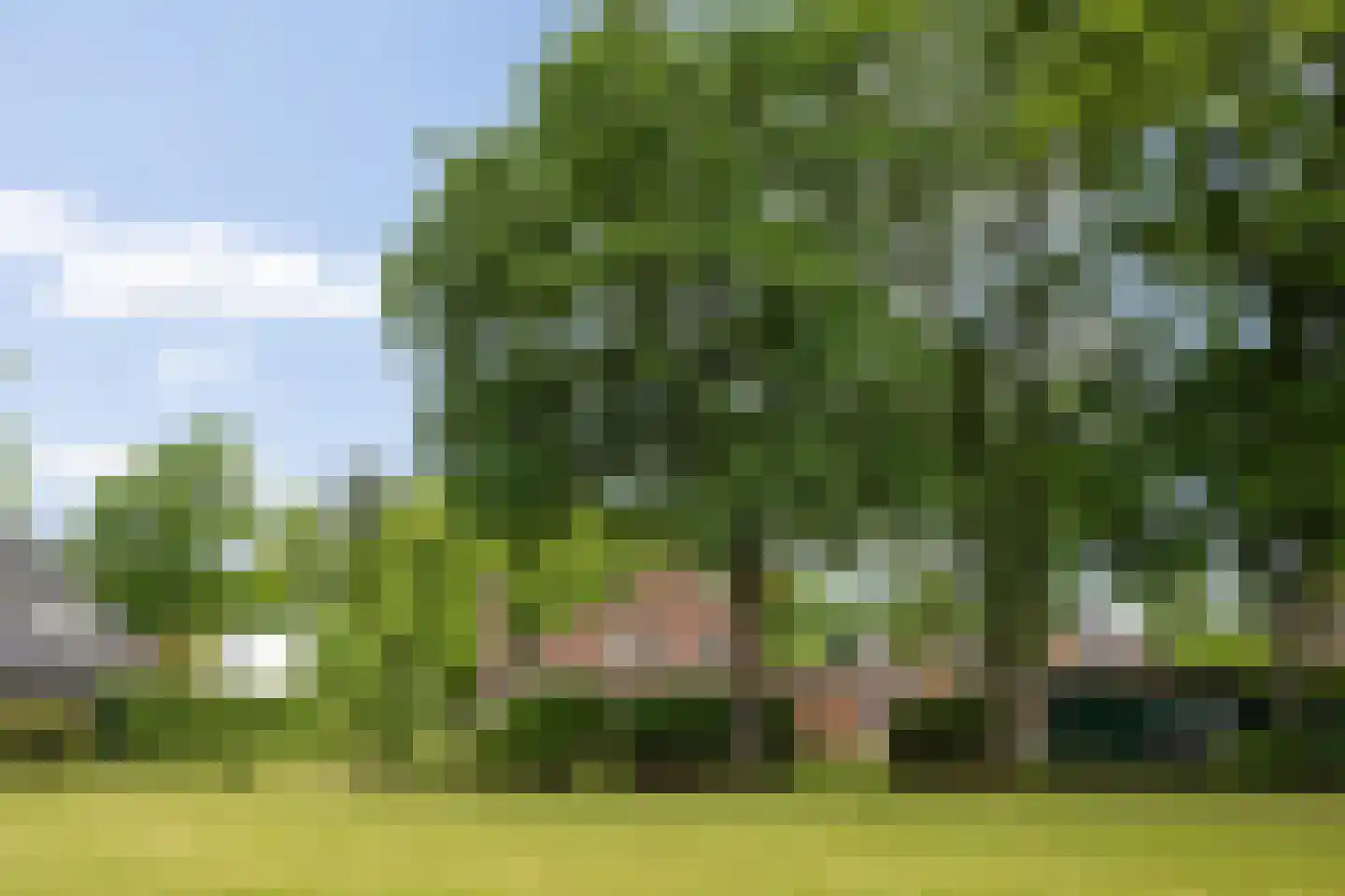 Heiweg 20 Vught thumbnail 43