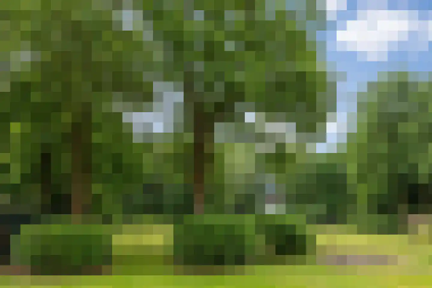 Heiweg 20 Vught thumbnail 46