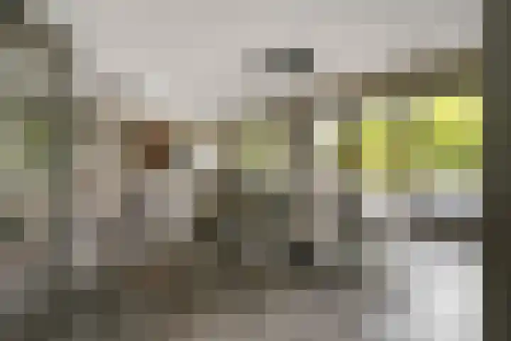 Heiweg 21 Rosmalen thumbnail 14