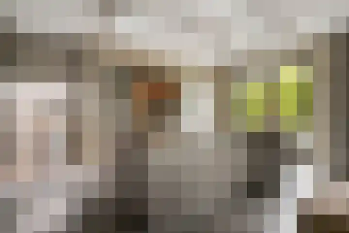 Heiweg 21 Rosmalen thumbnail 18