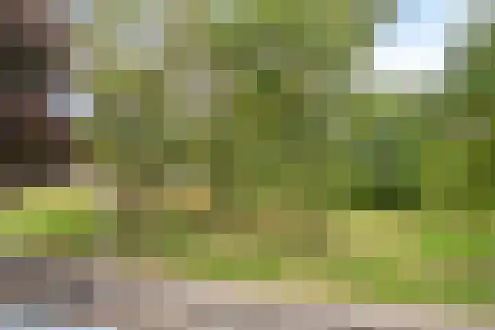 Heiweg 21 Rosmalen thumbnail 42