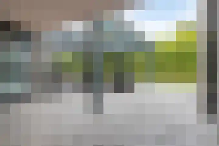 Heiweg 21 Rosmalen thumbnail 50