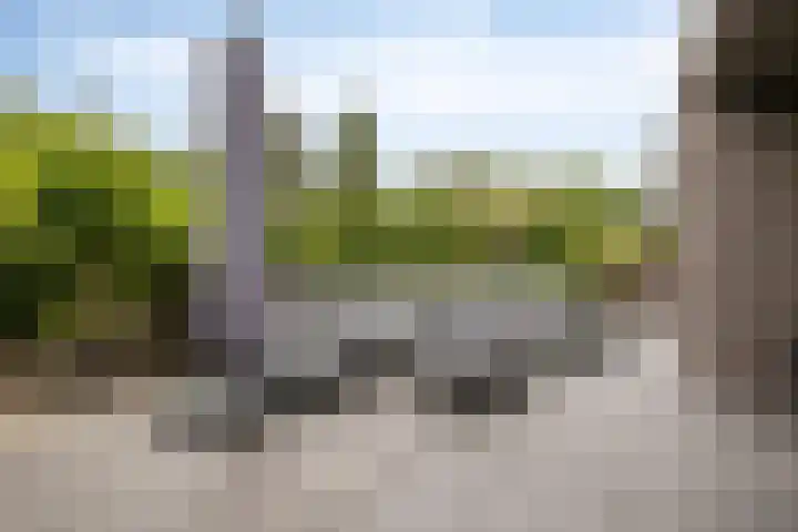 Heiweg 21 Rosmalen thumbnail 57
