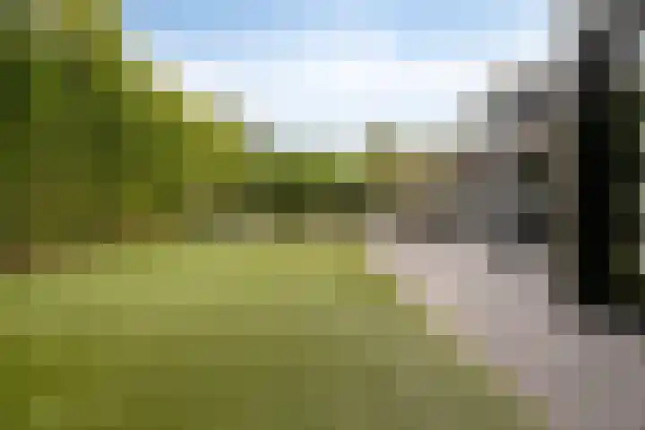 Heiweg 21 Rosmalen thumbnail 60