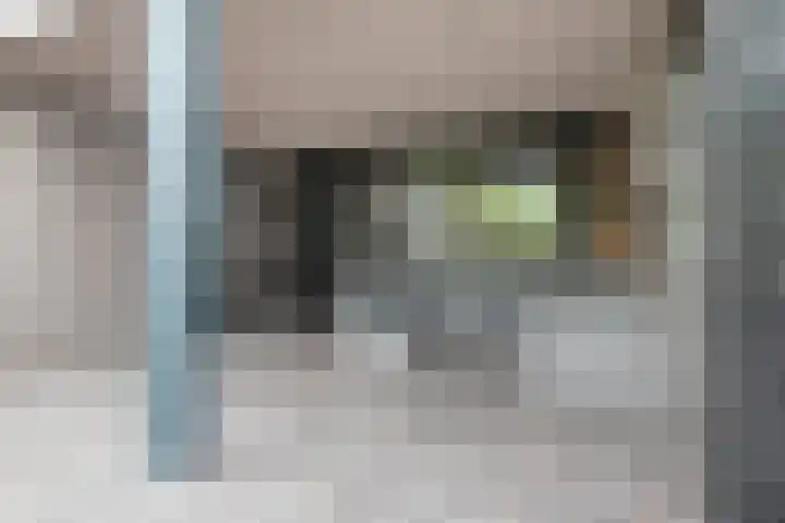 Heiweg 21 Rosmalen thumbnail 63