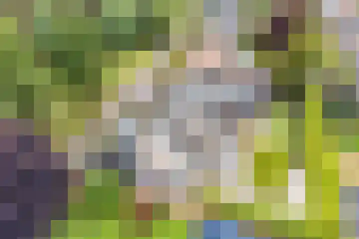 Heiweg 21 Rosmalen thumbnail 67