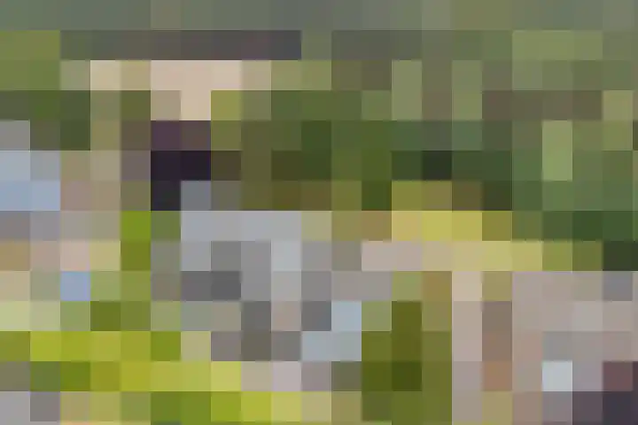 Heiweg 21 Rosmalen thumbnail 69
