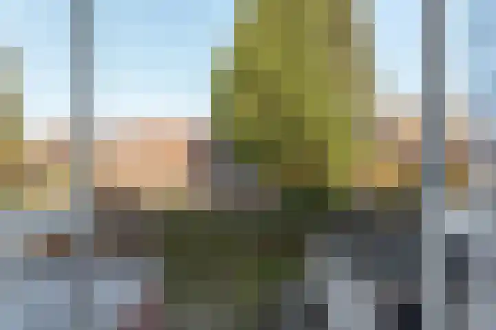 Heiweg 220 Nijmegen thumbnail 20