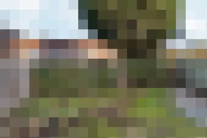 Heiweg 220 Nijmegen thumbnail 36