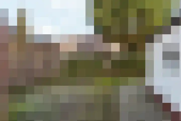 Heiweg 220 Nijmegen thumbnail 37