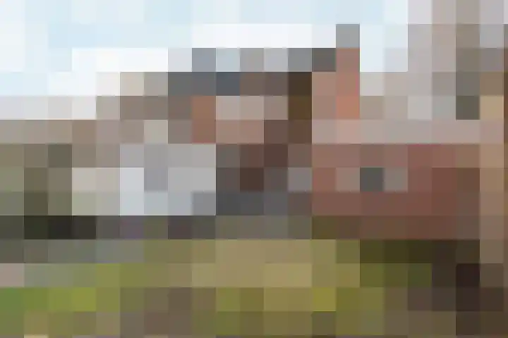 Heiweg 220 Nijmegen thumbnail 38