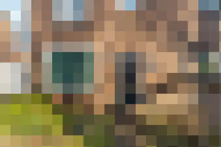 Heiweg 220 Nijmegen thumbnail 47