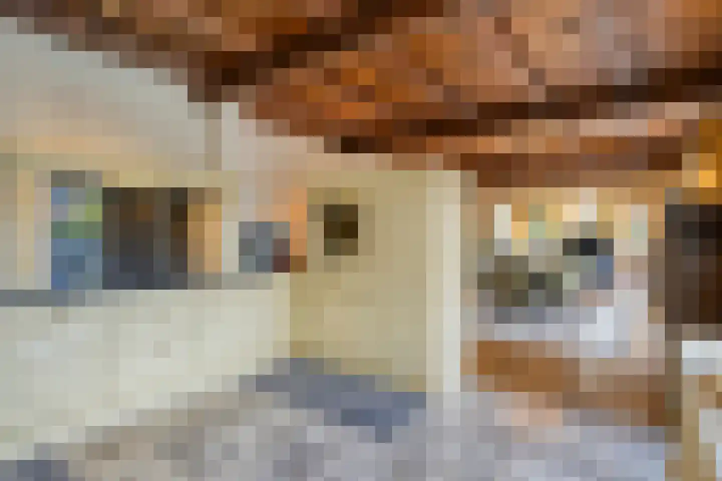 Heiweg 23 Rosmalen thumbnail 22