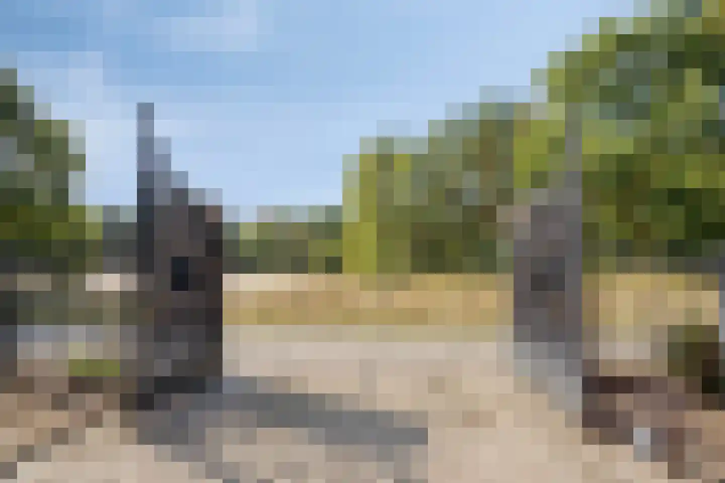 Heiweg 23 Rosmalen thumbnail 53