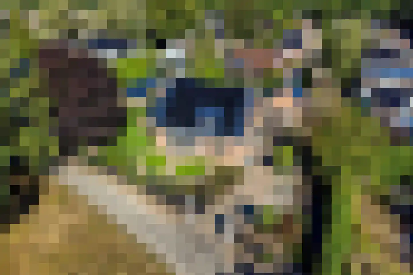 Heiweg 23 Rosmalen thumbnail 60