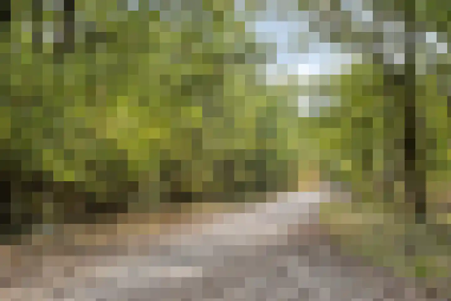 Heiweg 23 Rosmalen thumbnail 68