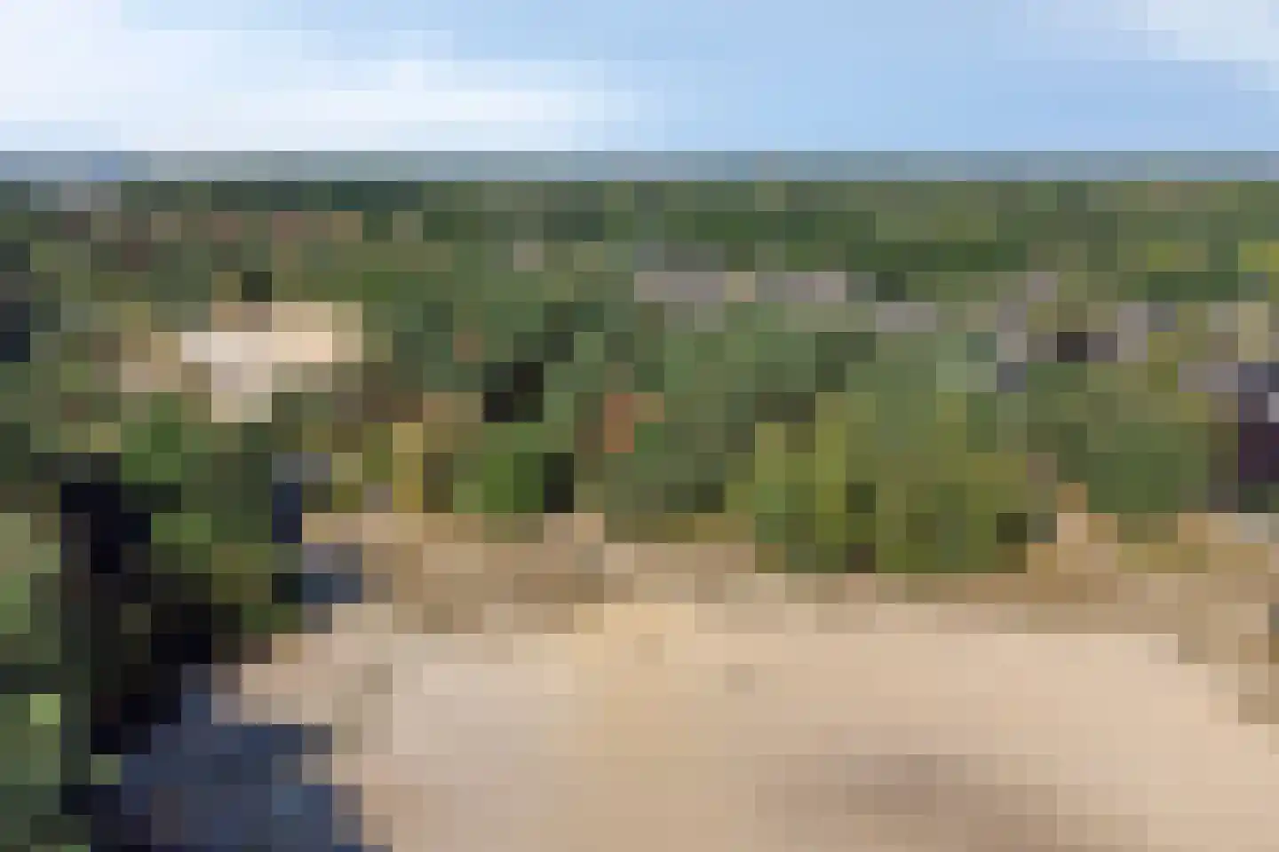 Heiweg 23 Rosmalen thumbnail 69