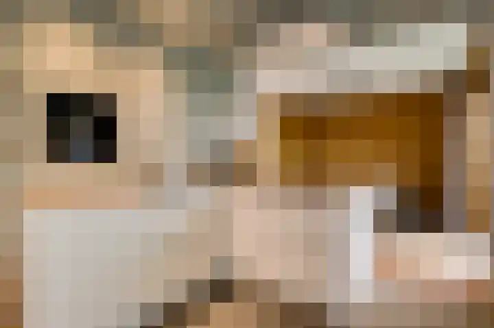 Heiweg 25 Berg en Terblijt thumbnail 10