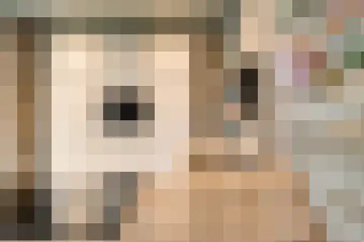 Heiweg 25 Berg en Terblijt thumbnail 11
