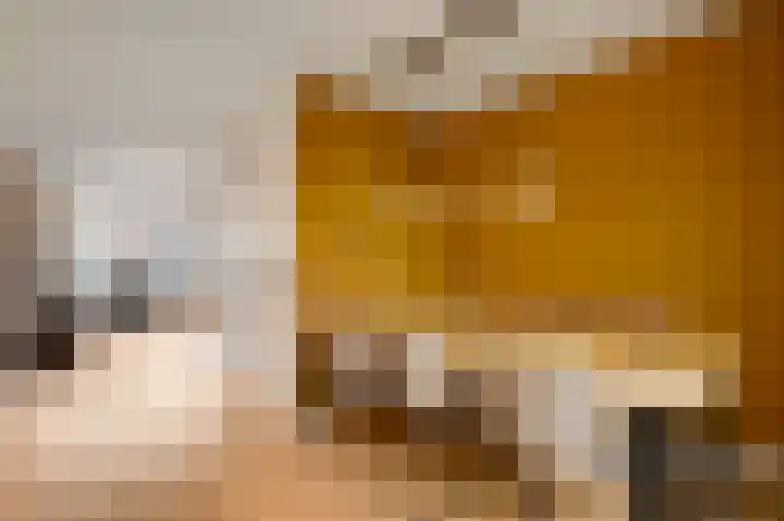 Heiweg 25 Berg en Terblijt thumbnail 8