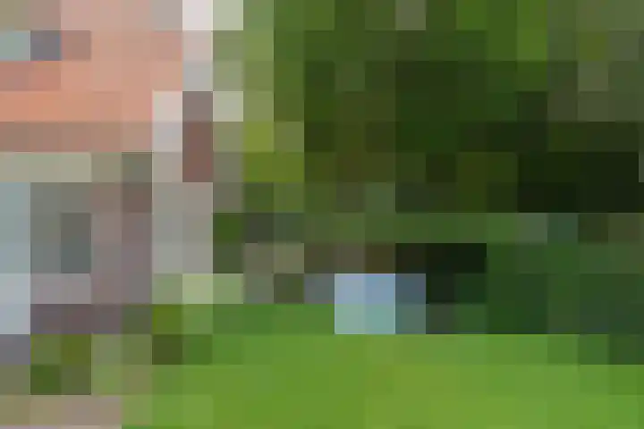 Heiweg 26 Nijmegen thumbnail 46
