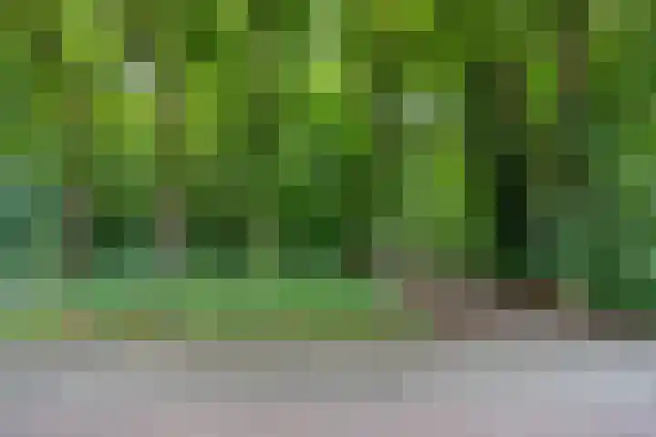 Heiweg 26 Nijmegen thumbnail 48