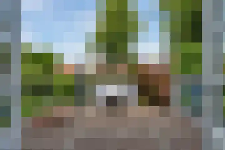 Heiweg 26 Nijmegen thumbnail 5