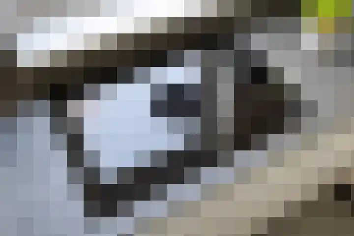 Heiweg 3 Herpen thumbnail 12