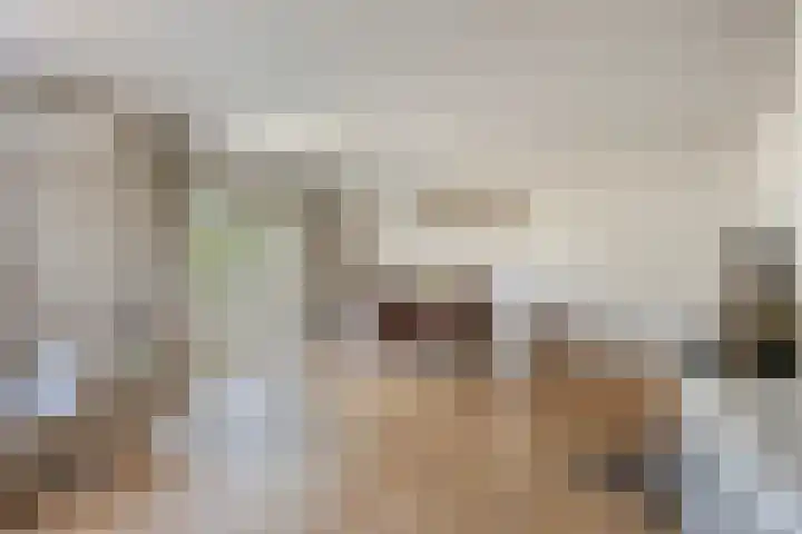 Heiweg 3 Herpen thumbnail 14