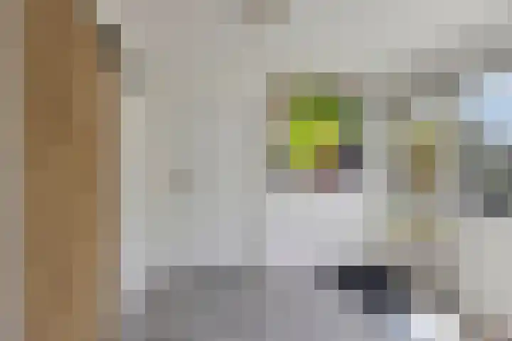 Heiweg 3 Herpen thumbnail 20