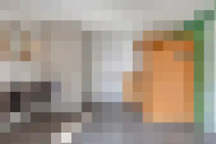 Heiweg 3 Herpen thumbnail 26